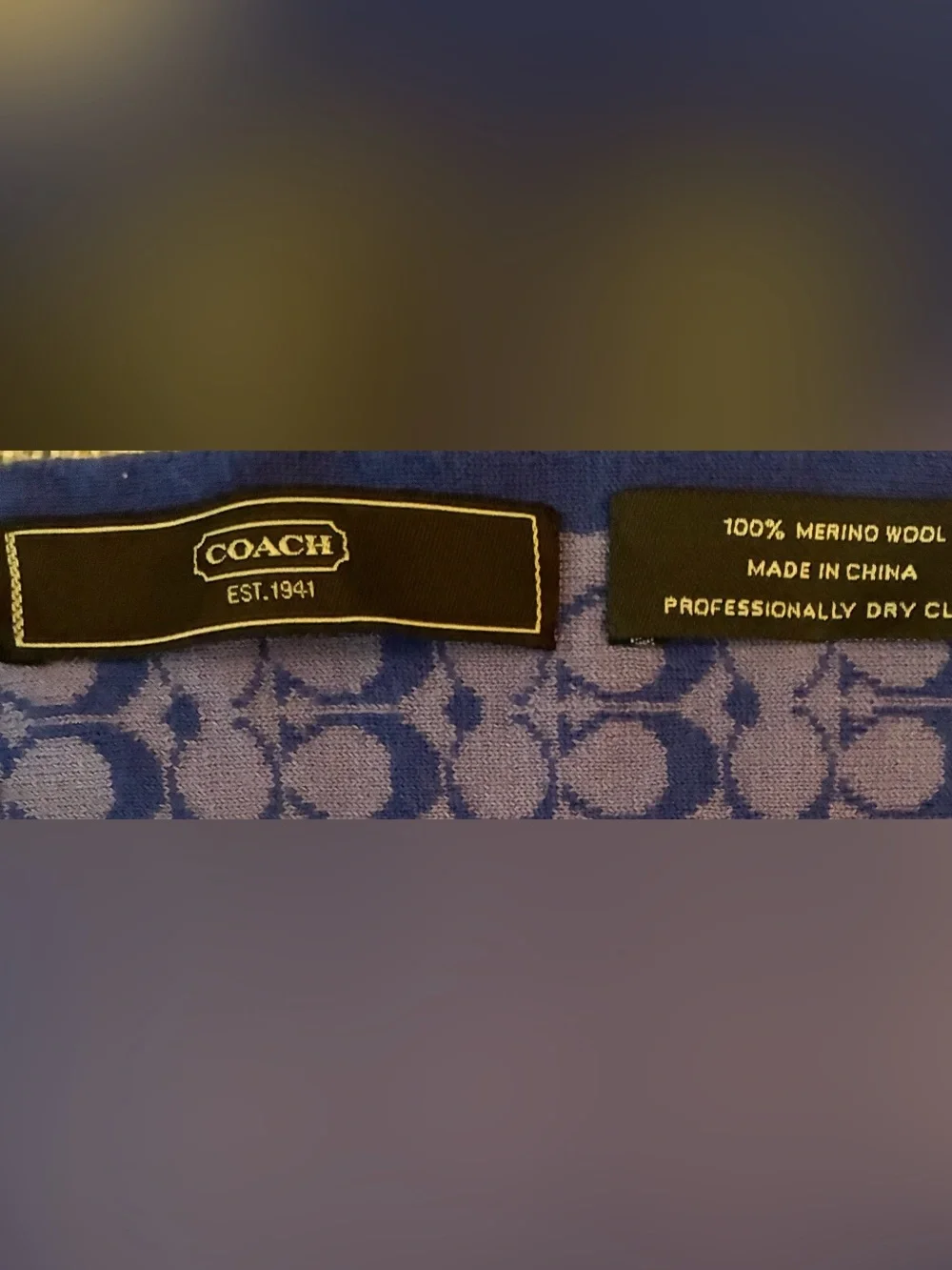 Coach nwot oblong